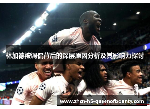 林加德被调侃背后的深层原因分析及其影响力探讨