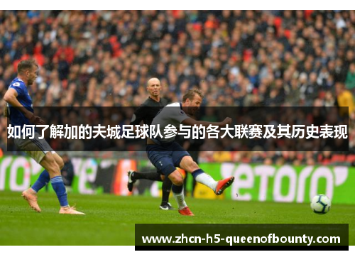 如何了解加的夫城足球队参与的各大联赛及其历史表现