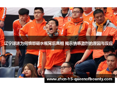 辽宁球迷为何愤怒砸水瓶背后真相 揭示情感激烈的原因与反应