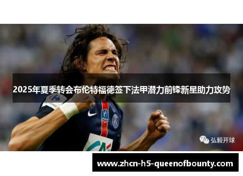 2025年夏季转会布伦特福德签下法甲潜力前锋新星助力攻势 2025年夏季转会布伦特福德签下法甲潜力前锋新星助力攻势