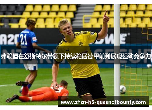 弗赖堡在舒斯特尔带领下持续稳居德甲前列展现强劲竞争力