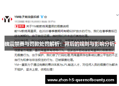 魏震禁赛与罚款处罚解析：背后的规则与影响分析